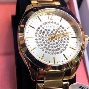 Brand new ladies watch